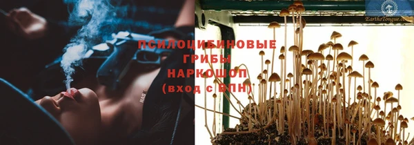 ешки Балахна
