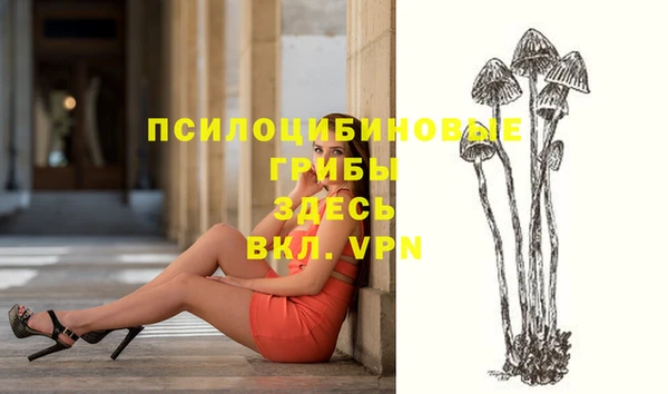 ешки Балахна