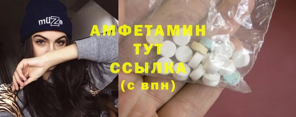молекула духа Инсар