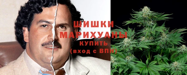 стафф Гусь-Хрустальный
