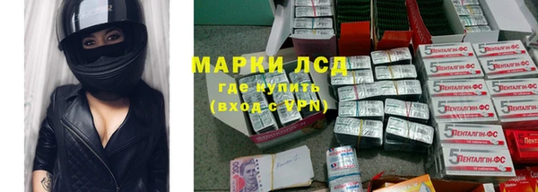 эйфоретик Баксан