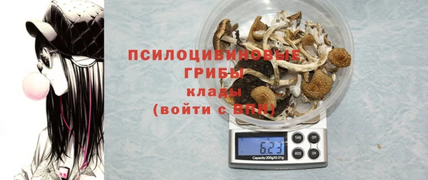 ешки Балахна