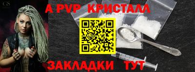 индика Гай