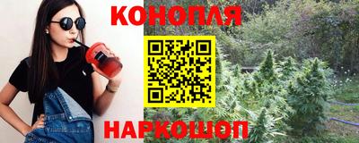 трава Гатчина