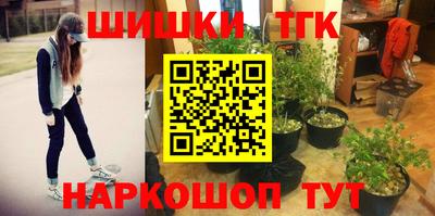 прущие грибы Гагарин