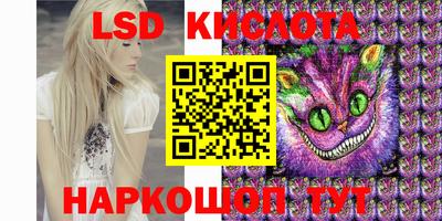 индика Гай