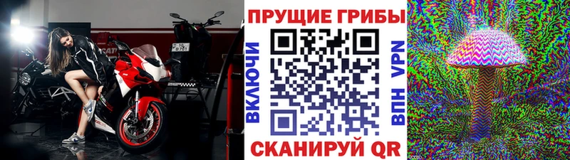 Псилоцибиновые грибы Psilocybine cubensis Реутов
