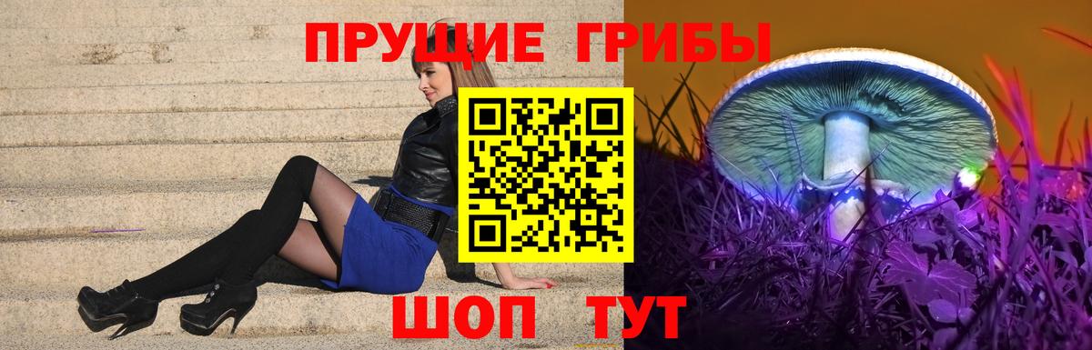 Галлюциногенные грибы Magic Shrooms Реутов